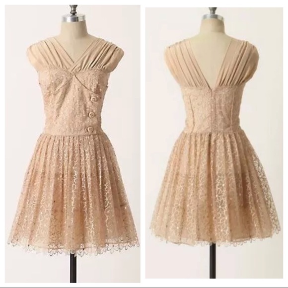 Anthropologie Dresses & Skirts - Anthropologie 4 Floral Lace Picture Show Dress